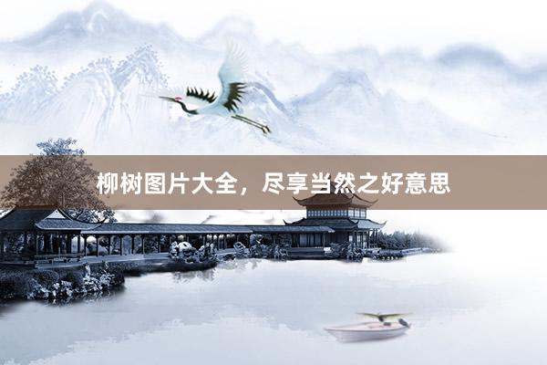 柳树图片大全，尽享当然之好意思