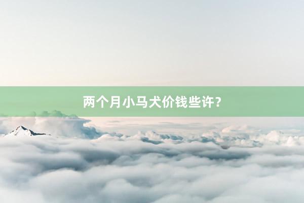 两个月小马犬价钱些许？